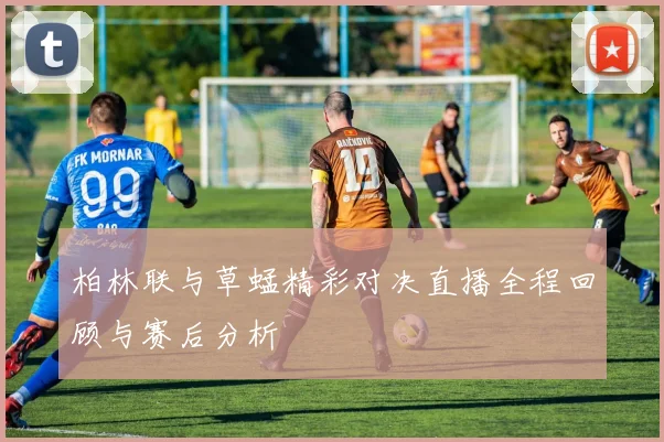 柏林联与草蜢精彩对决直播全程回顾与赛后分析