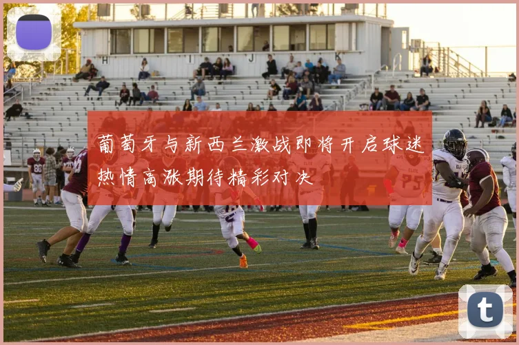 葡萄牙与新西兰激战即将开启球迷热情高涨期待精彩对决