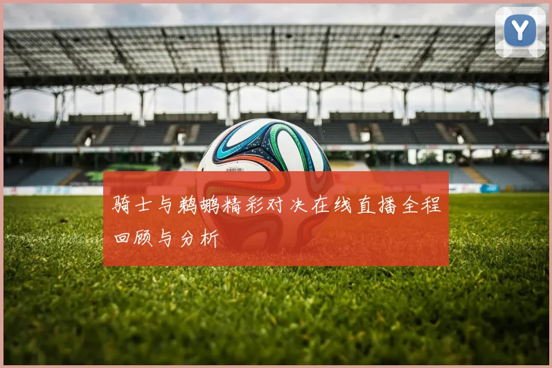 骑士与鹈鹕精彩对决在线直播全程回顾与分析