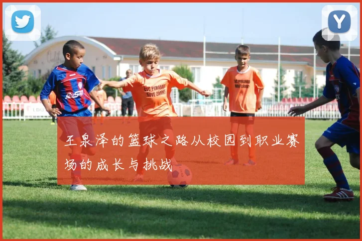 王泉泽的篮球之路从校园到职业赛场的成长与挑战