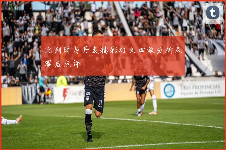 比利时与丹麦精彩对决回放分析及赛后点评