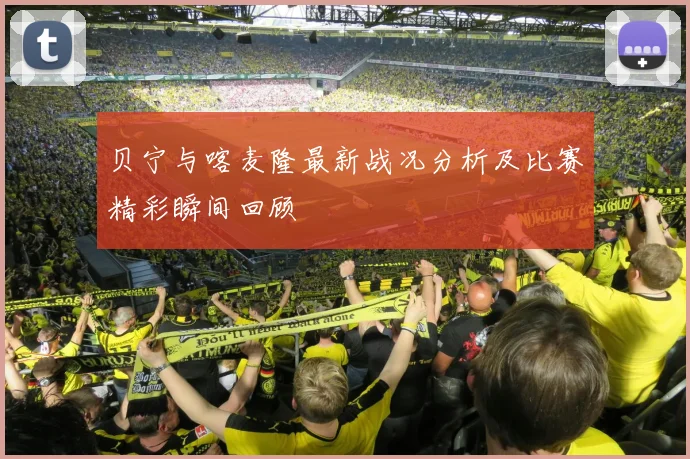 贝宁与喀麦隆最新战况分析及比赛精彩瞬间回顾