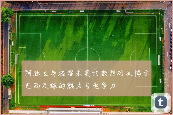 阿独立与格雷米奥的激烈对决揭示巴西足球的魅力与竞争力