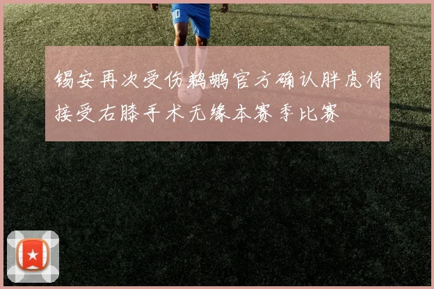 锡安再次受伤鹈鹕官方确认胖虎将接受右膝手术无缘本赛季比赛