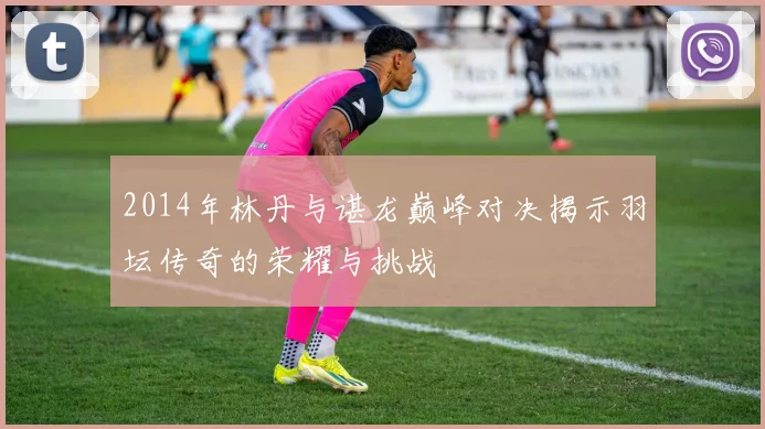 2014年林丹与谌龙巅峰对决揭示羽坛传奇的荣耀与挑战