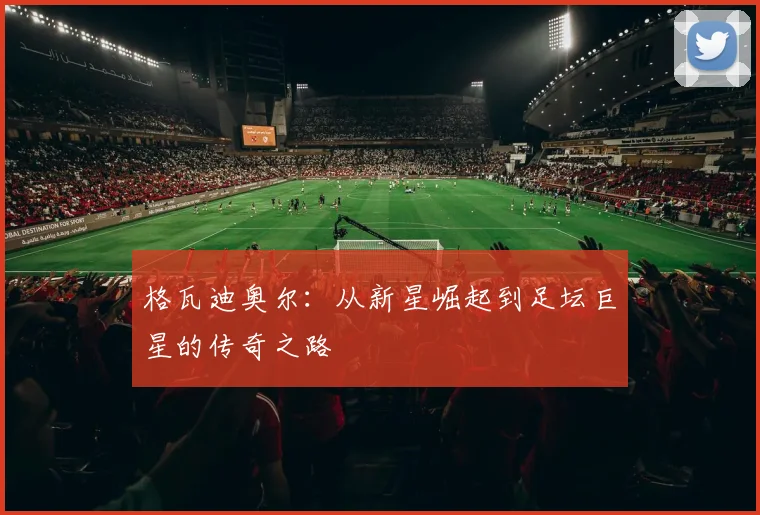 格瓦迪奥尔：从新星崛起到足坛巨星的传奇之路