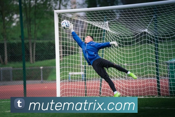 多媒体互动体验